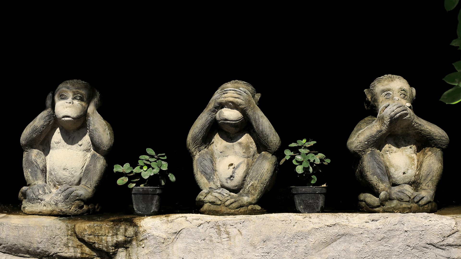 SWC Website images(169)(6) 3 Monkies no hear, no see, no speak